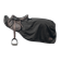 Czarny