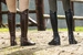 Czapsy Classic Half Chaps Dy'on - czarne