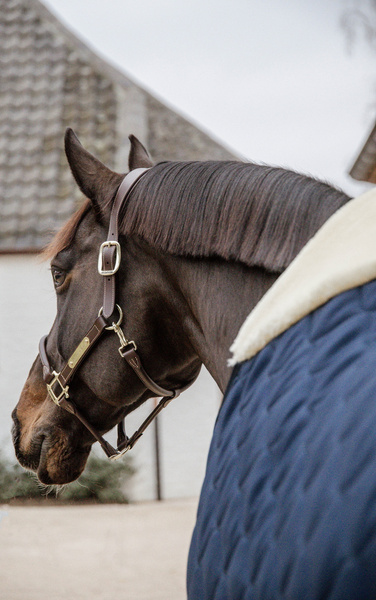 Kentucky derka stajenna Comfort 200g - granatowa
