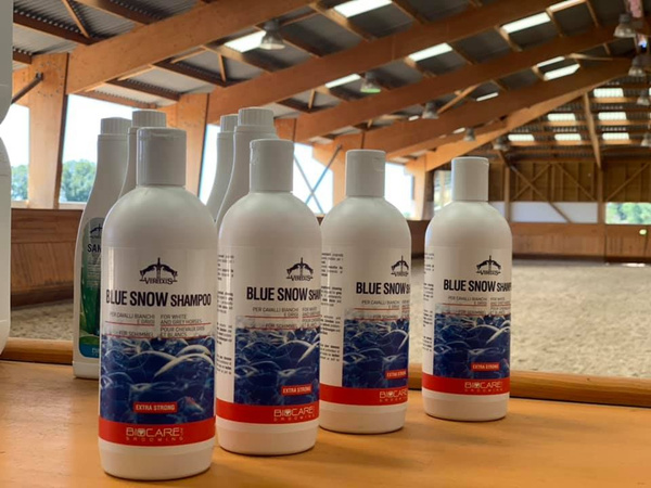 Veredus szampon do siwych koni Blue Snow Shampoo 500 ml