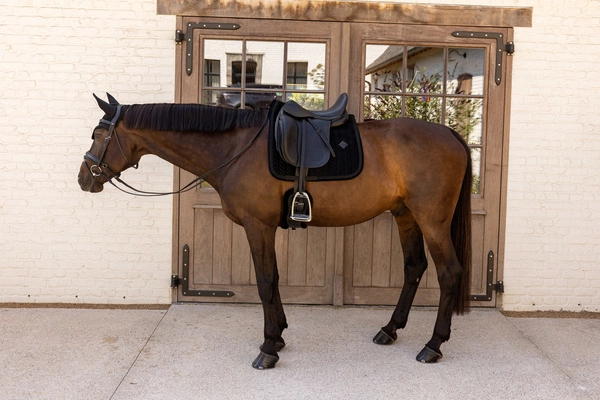 Kentucky czaprak Velvet Mini Pearls - czarny