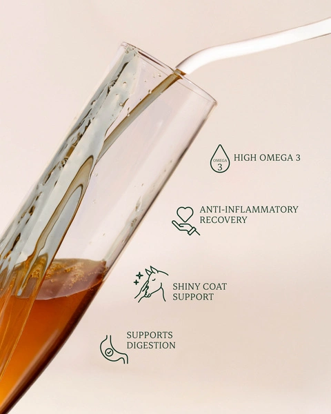 Olej lniany 5 L - Kentucky Grooming Deluxe