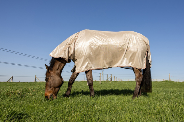 Derka Kentucky Mesh Fly Rug Comfort Classic with Neck and Belly Cover