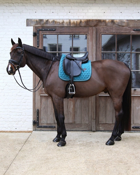 Kentucky czaprak Melange - ciemna zieleń