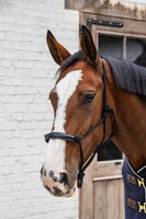 Kantar sznurkowy Kentucky Grooming Deluxe - czarny