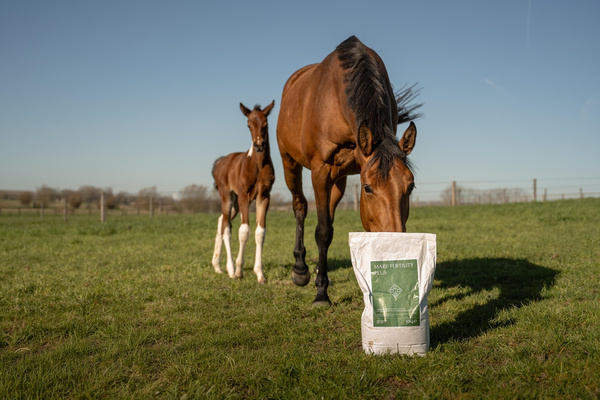 Kentucky Grooming Delux Mare Fertility Plus - 10 kg