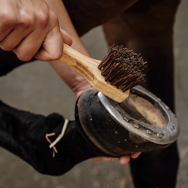 Kopystka- Kentucky Grooming Deluxe