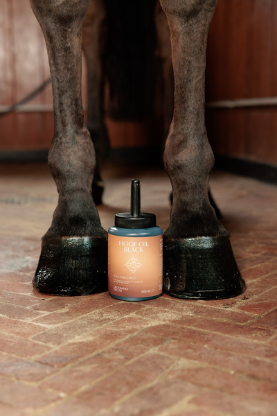 GD Hoof Oil Shine 500ml czarny - Kentucky Grooming Deluxe