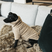 Kentucky sweter dla psa Teddy Fleece