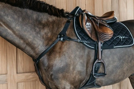 5-punktowy skórzany napierśnik Dy'on New English - czarny