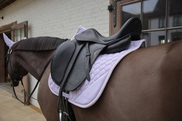 Kentucky czaprak Softshell Onion Quilt - jasny fiolet