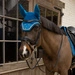 Nauszniki Kentucky Wellington Velvet Horse Printing- granatowe