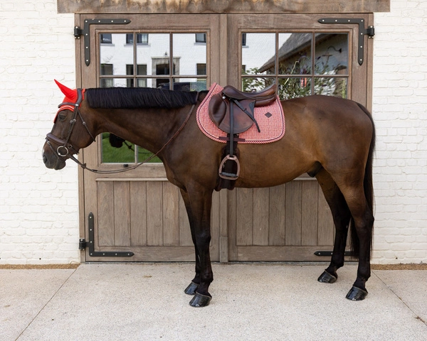 Kentucky czaprak Velvet Printing - fiolet / czerwień