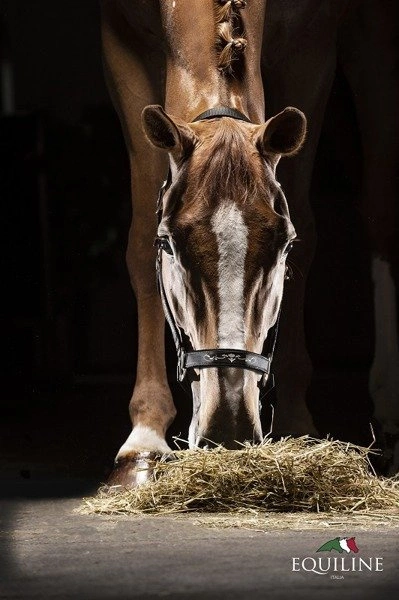 Kantar Equiline Timmy - szary