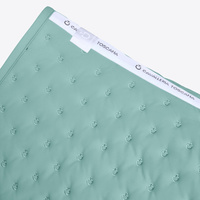 Czaprak Cavalleria Toscana Embrodery Quilted - miętowy