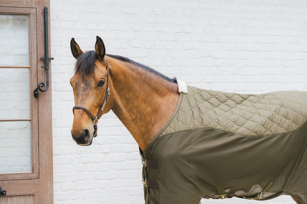 Kentucky derka polarowa Transport Combo Cooler - khaki