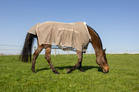 Derka Kentucky Fly Rug with Belly Cover Comfort