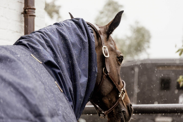 Kentucky kaptur Waterproof Horse Scarf Classic 0 g  - granat 
