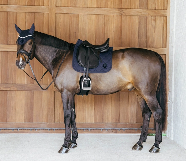 Kentucky czaprak Wave - granatowy