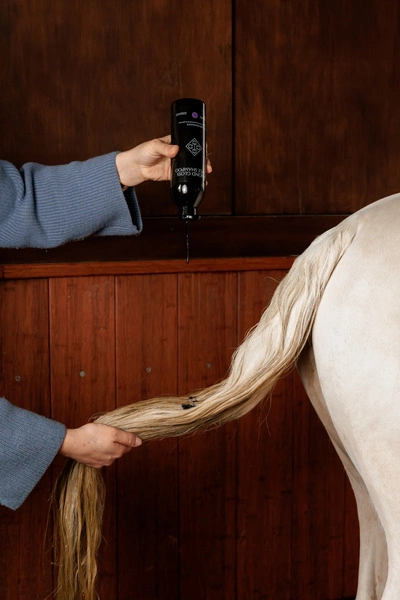 Szampon Almond Gloss Purple Shampoo 500 ml - Kentucky Grooming Deluxe