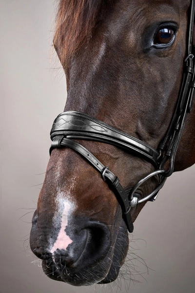 Anatomiczne ogłowie Dy'on z nachrapnikiem angielskim New English