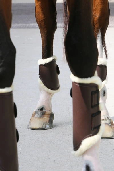 Kentucky skórzane ochraniacze Turnout - brązowe