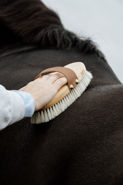 Szczotka nabłyszczająca do sierści - Kentucky Grooming Deluxe