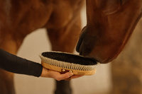 Szczotka nabłyszczająca do sierści - Kentucky Grooming Deluxe