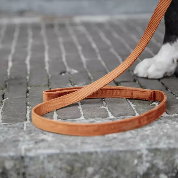 Smycz Kentucky Velvet 120cm - pomarańczowa