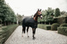 Kentucky derka stajenna 400 g - czarna