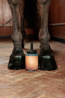 GD Hoof Oil Shine 500ml czarny - Kentucky Grooming Deluxe