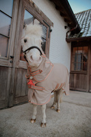 Derka Kentucky Mesh Fly Rug Comfort
