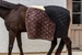 Kentucky derka stajenna Comfort 200g - czarna