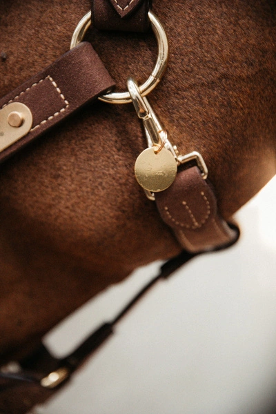 Kentucky okrągła plakietka do grawerowania - złota