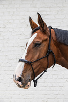Kantar sznurkowy Kentucky Grooming Deluxe - czarny