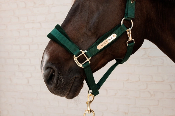 Kentucky kantar anatomiczny Velvet - butelkowa zieleń