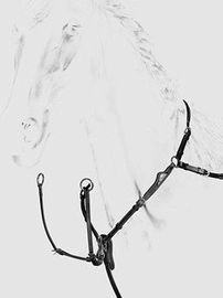 Napierśnik 3-punktowy z wytokiem BJ202 - czarny