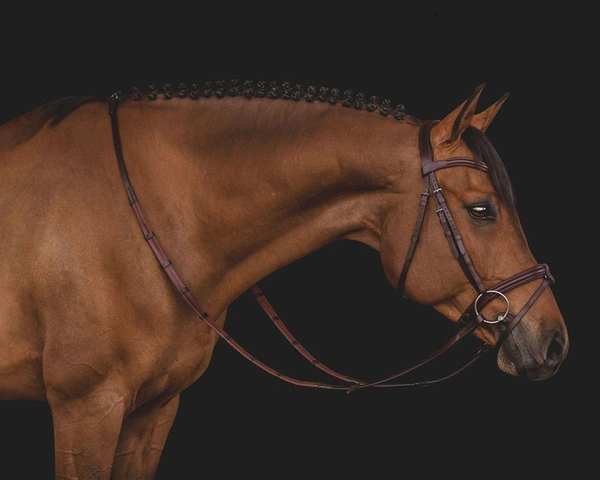 Ogłowie Equiline BJ300 - brązowe