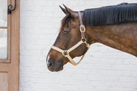 Kentucky kantar Nylon Halter Breakaway - beżowy