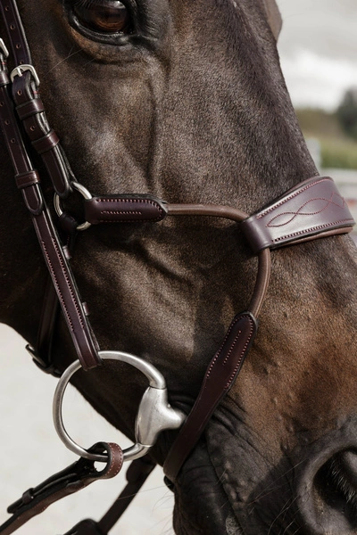 Ogłowie Dy'on Elastic Hybrid New English