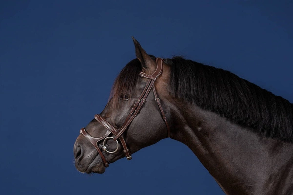Ogłowie Dy'on z podwójnym nachrapnikiem US Jumping - czarne