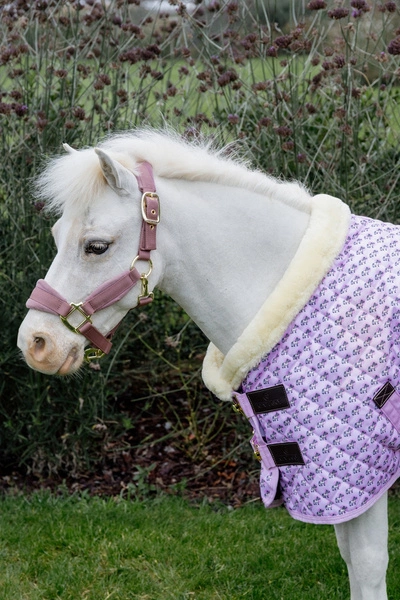 Kentucky derka stajenna Show Rug Sammy 160 g - różowa w koniki