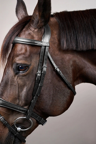 Anatomiczne ogłowie Dy'on z nachrapnikiem angielskim New English