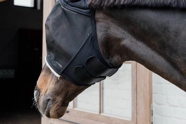 Kentucky maska na owady Skin Friendly - z uszami czarna