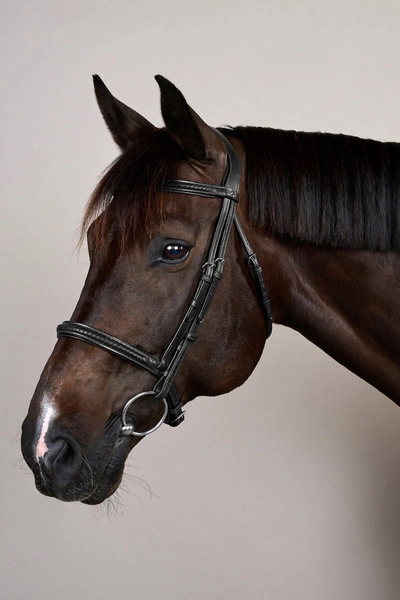 Ogłowie Dy'on New English Plaited bez skośnika - czarne