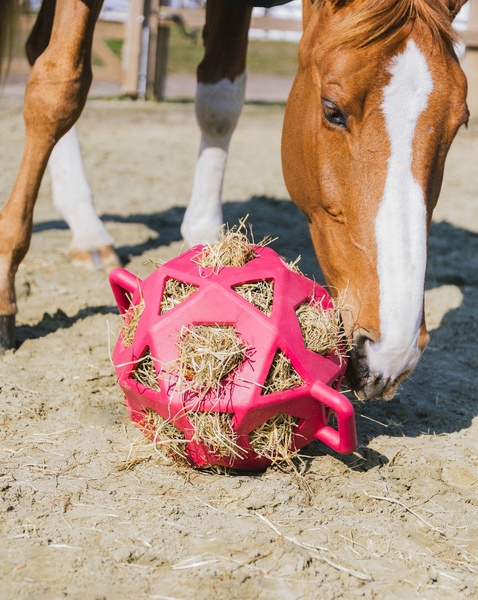 Kentucky elastyczna piłka na siano Relax Horse Play & Hay Ball - ciemny róż