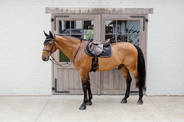 Kentucky czaprak Diamond Rope - czarny