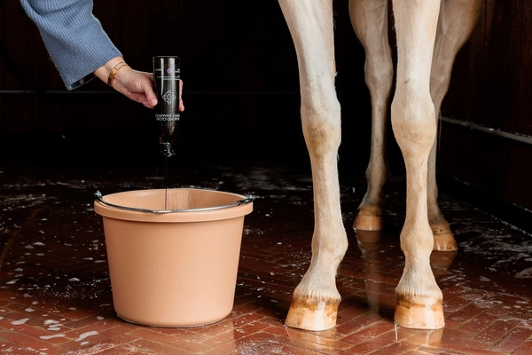 Wiadro 12 L Kentucky - beżowe