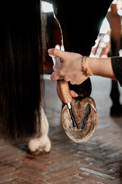 Preparat na gnijące strzałki Equi Hoof zinc paste - Kentucky Grooming Deluxe