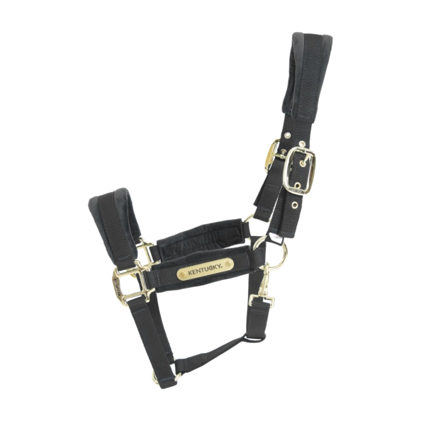 Kentucky kantar anatomiczny Velvet - czarny